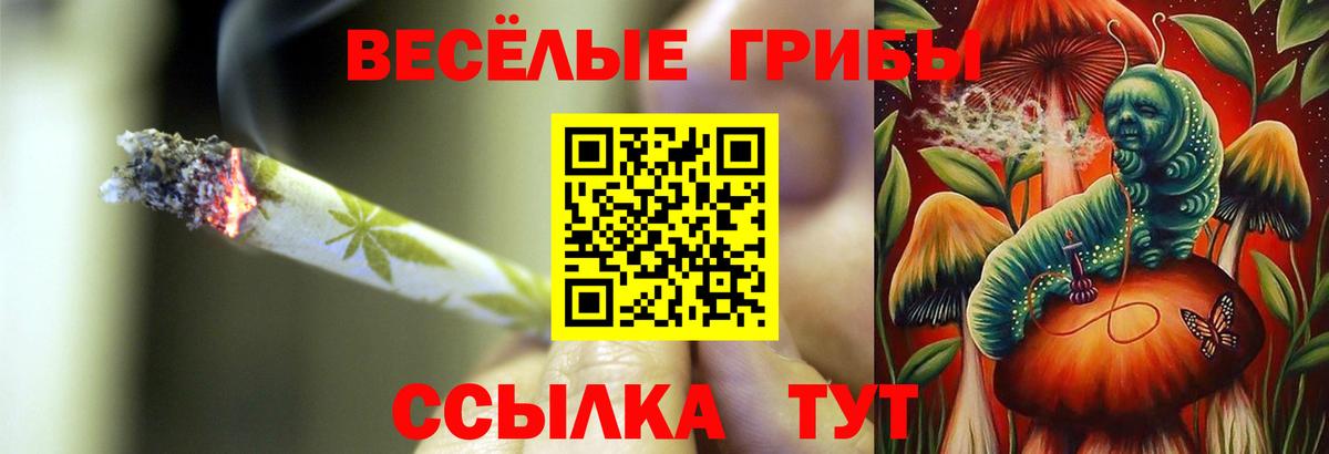 Галлюциногенные грибы Psilocybe  Вход с VPN  Богданович 