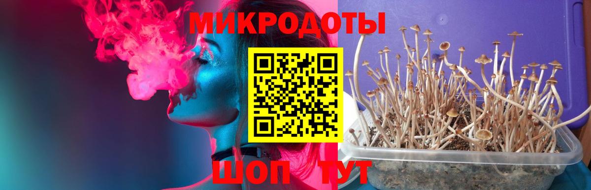 Галлюциногенные грибы ЛСД Богданович